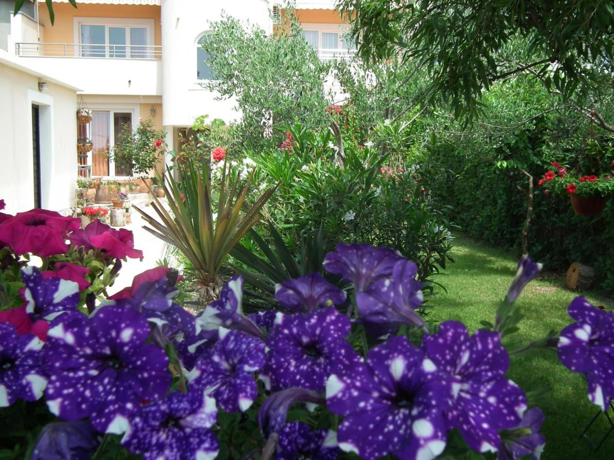 Apartments Jadranka Privlaka  Extérieur photo